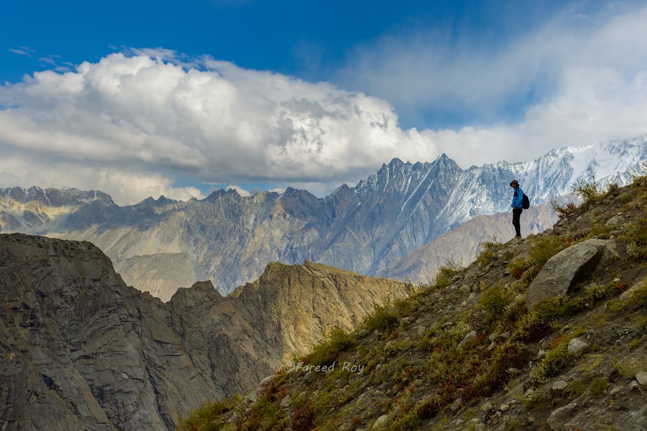 Image of an ibex on a mountain