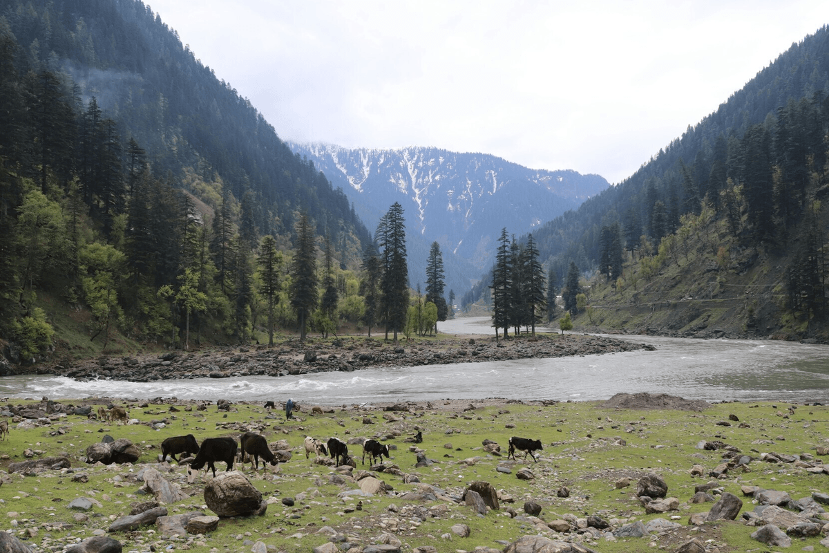 Neelum Valley Tour Packages image 3