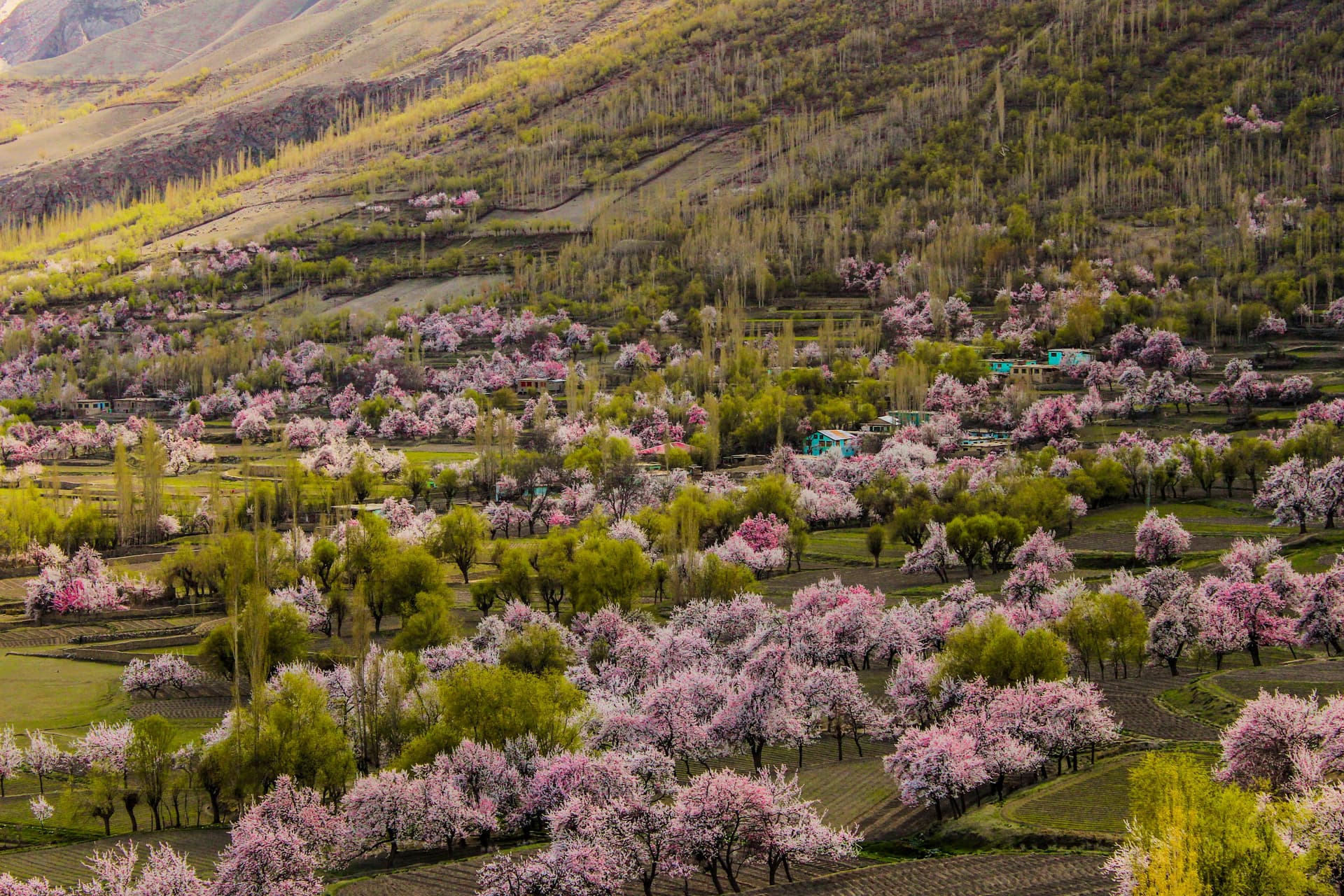 Skardu Valley Spring Tour - 1