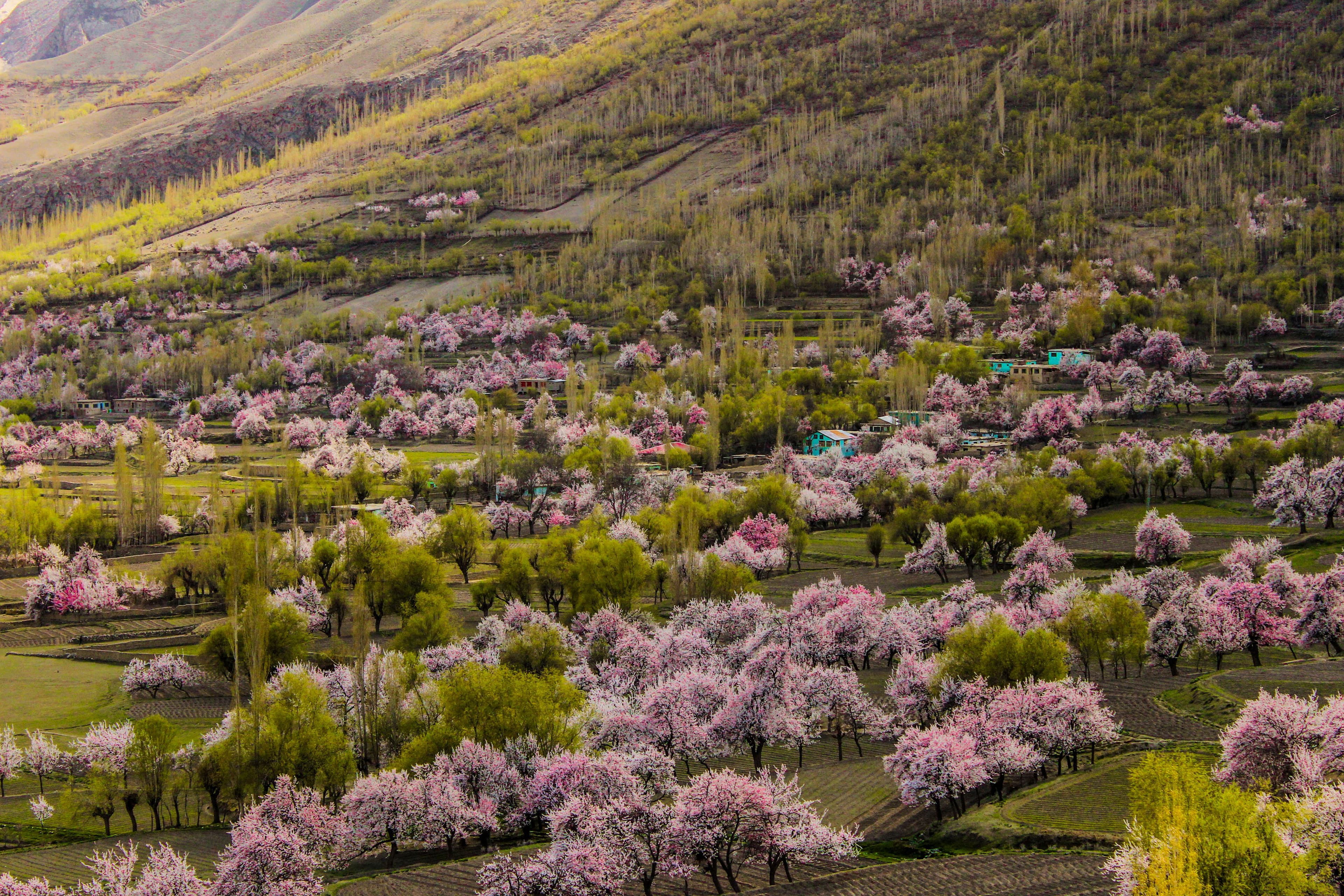 Skardu Valley Spring Tour
