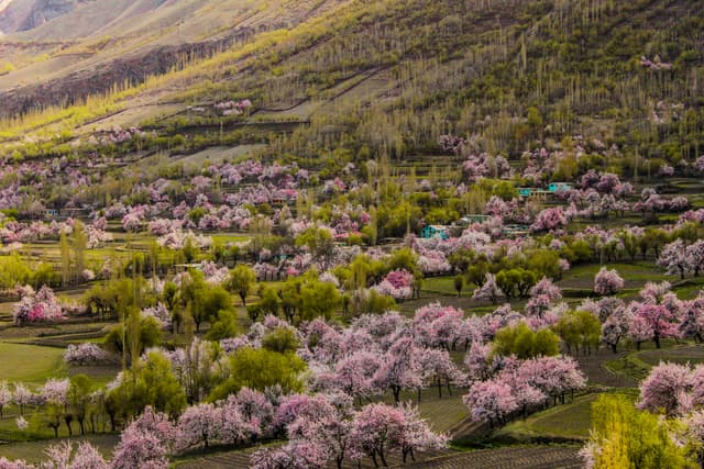 Skardu Valley Spring Tour