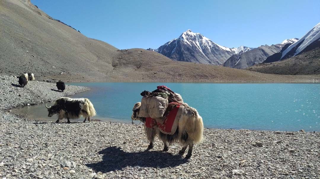 Shimshal Valley Tour image 2
