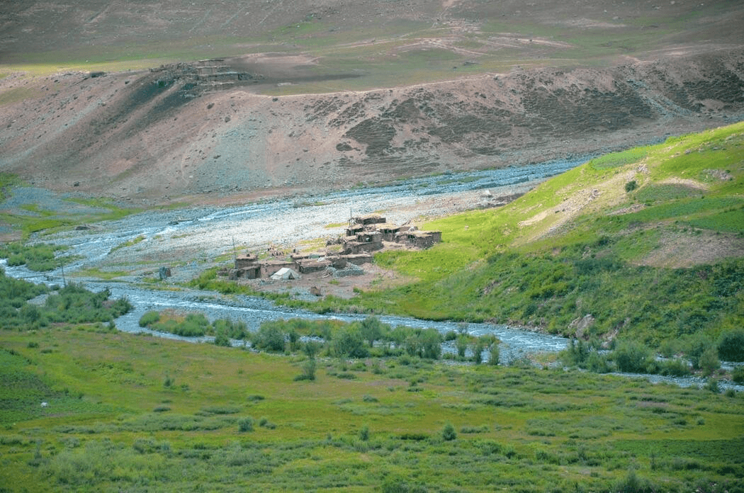 Blog Image