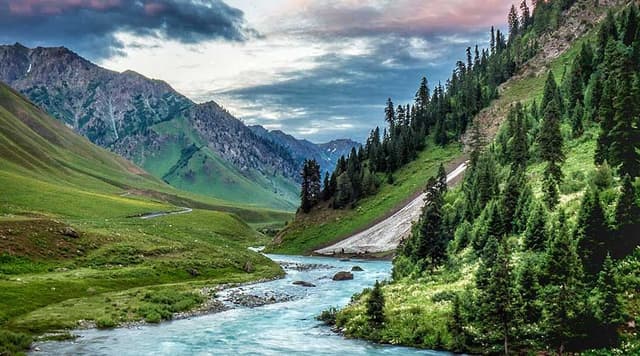 Minimarg Astore Valley