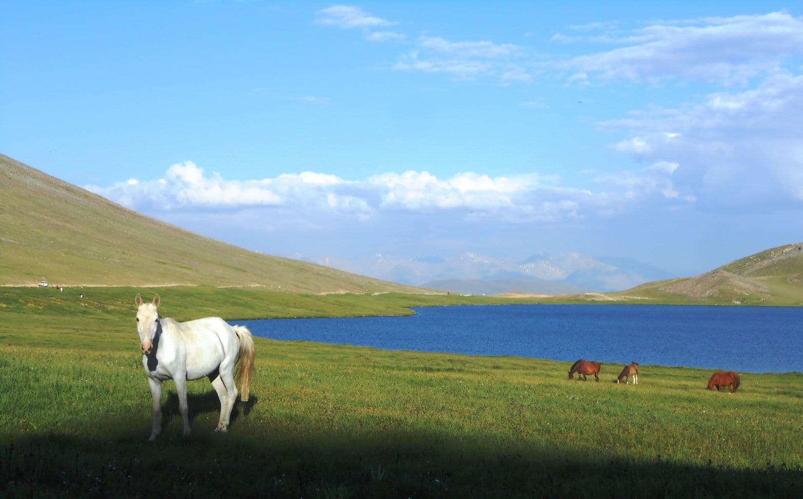 During Summers in Sheosar Lake
