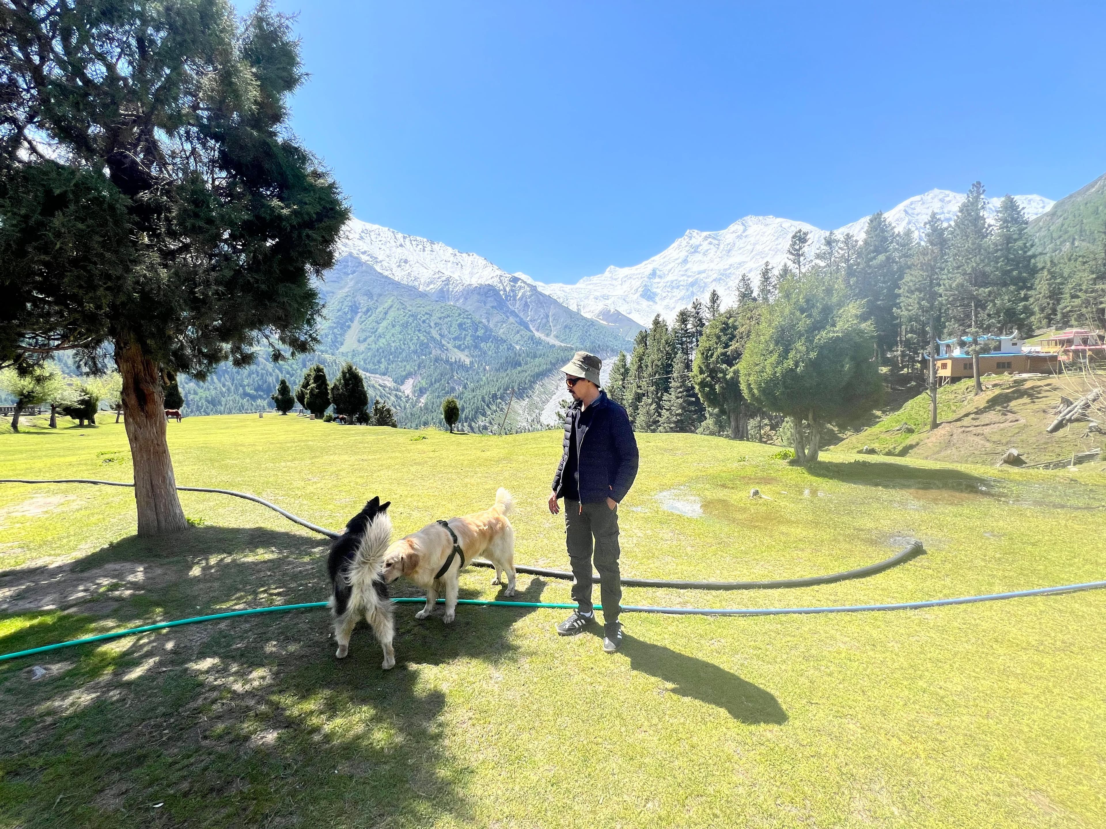 Fairy Meadows - Nanga Parbat Base Camp Trek