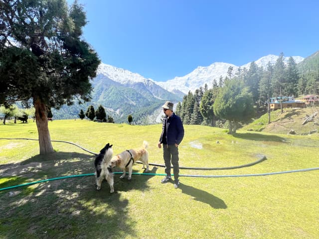 Fairy Meadows - Nanga Parbat Base Camp Trek