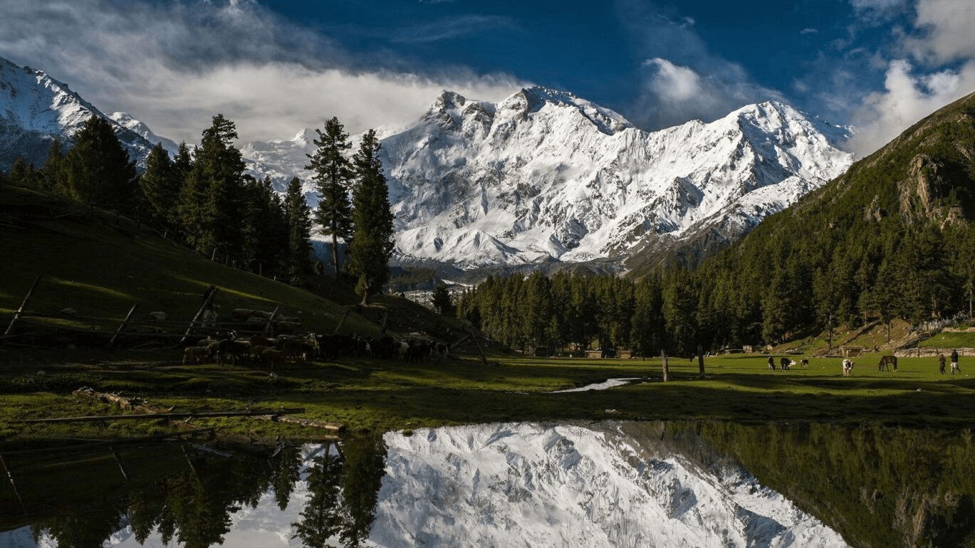 Fairy Meadows