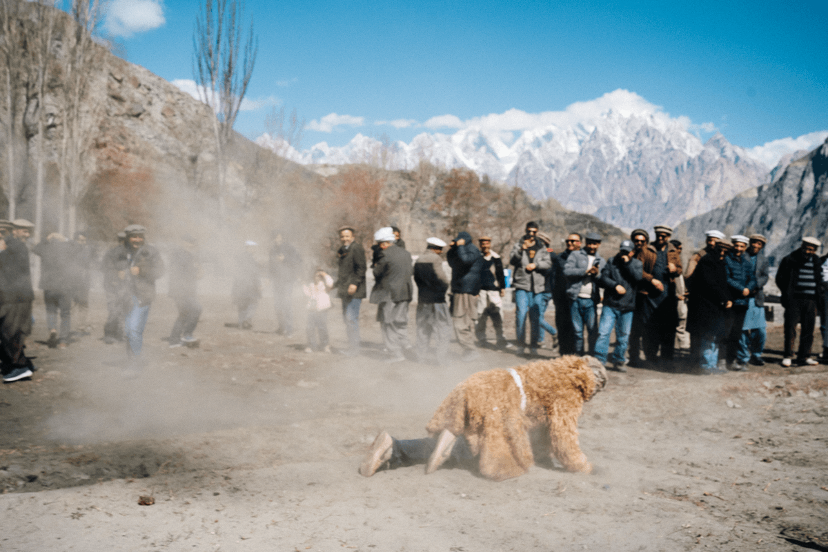 Tegham Spring Festival Hunza image 5