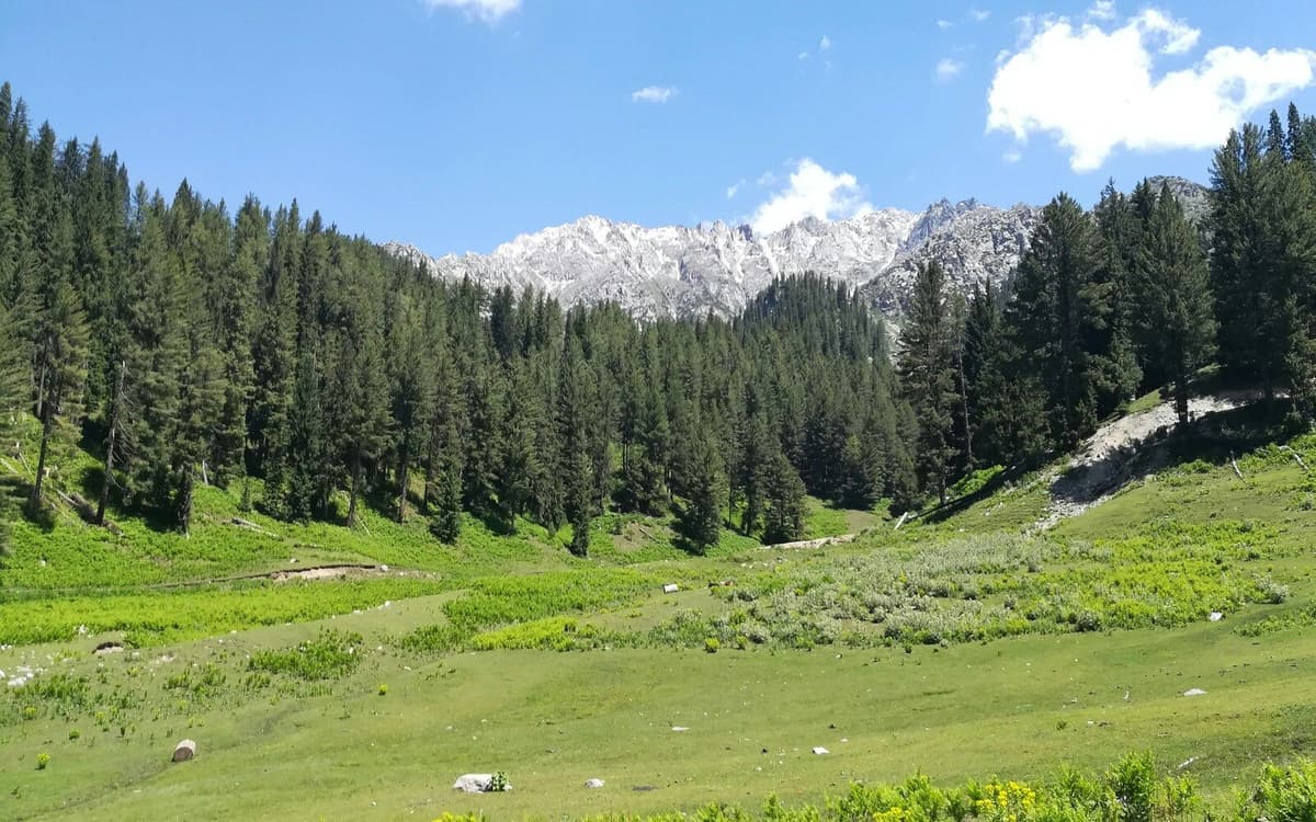 Swat Tour Packages image 2